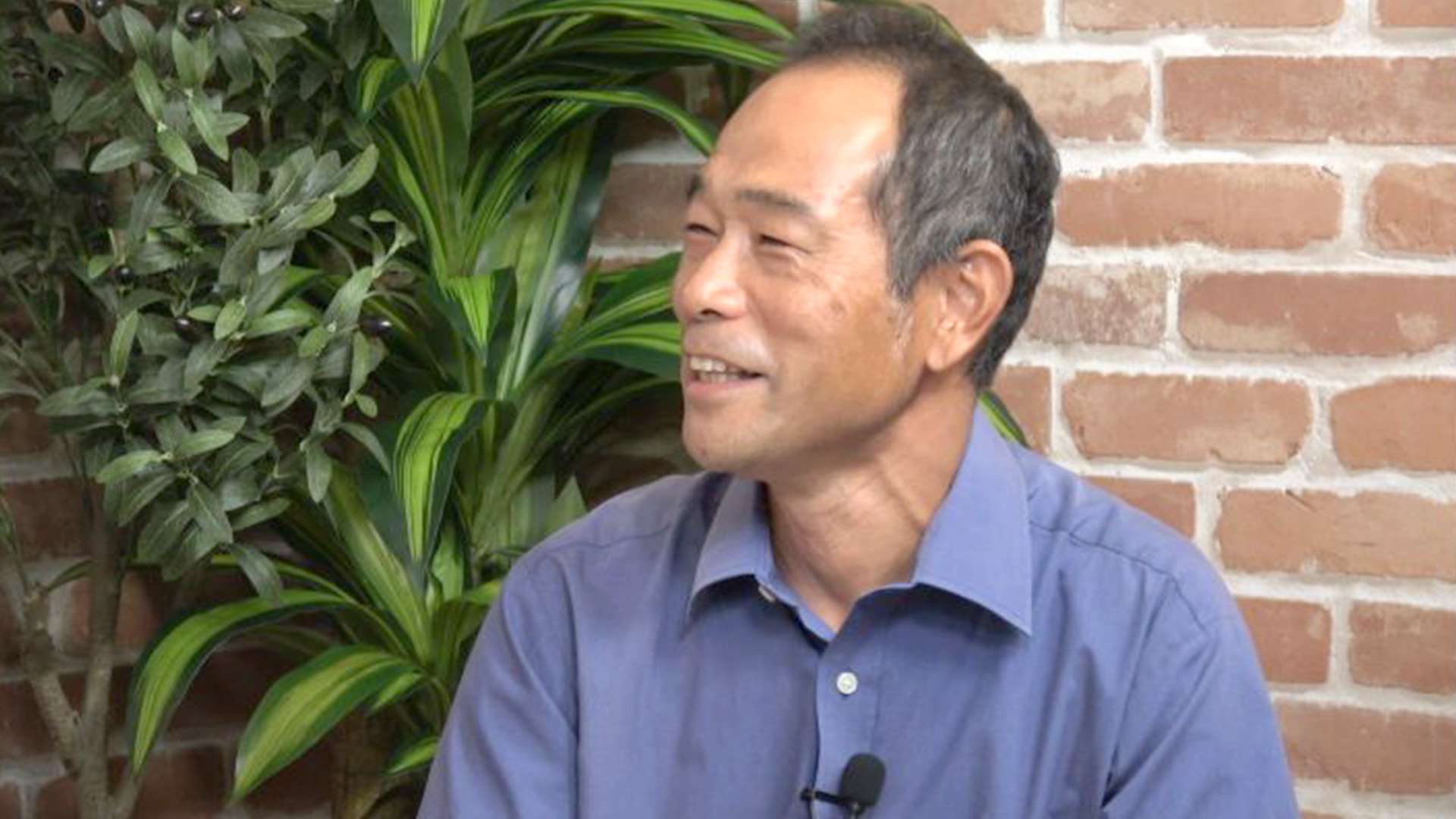 大人の自由研究：虫や鳥が減っているって本当なの？(藤田卓 )