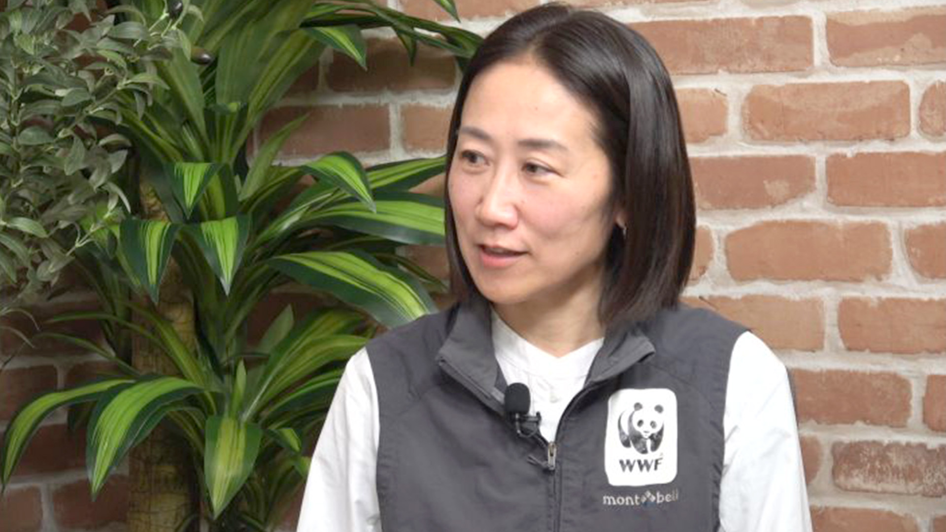 そのチョコどこから来たのか知っていますか(相馬真紀子 )