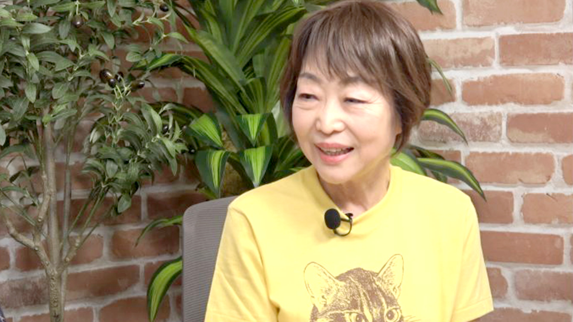 100頭のヤマネコが問いかける「共存」の本質(戸川久美 )